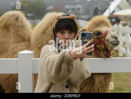 Huzhou, Chinas Provinz Zhejiang. November 2020. Eine Frau macht Selfie auf der 'Go Farm' im Dorf Gucheng im Wuxing Bezirk der Stadt Huzhou, Ostchina Zhejiang Provinz, 17. November 2020. 'Go Farm', ein Urlaubsziel, das Camping- und Haustiertouren im alten Gucheng Village integriert, hat seit seinem Probebetrieb im Mai dieses Jahres viele Touristen angezogen. Quelle: Weng Xinyang/Xinhua/Alamy Live News Stockfoto