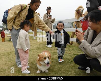 Huzhou, Chinas Provinz Zhejiang. November 2020. Die Menschen genießen ihre Freizeit auf der 'Go Farm' im Dorf Gucheng im Wuxing Bezirk der Stadt Huzhou, ostchinesische Provinz Zhejiang, 17. November 2020. 'Go Farm', ein Urlaubsziel, das Camping- und Haustiertouren im alten Gucheng Village integriert, hat seit seinem Probebetrieb im Mai dieses Jahres viele Touristen angezogen. Quelle: Weng Xinyang/Xinhua/Alamy Live News Stockfoto