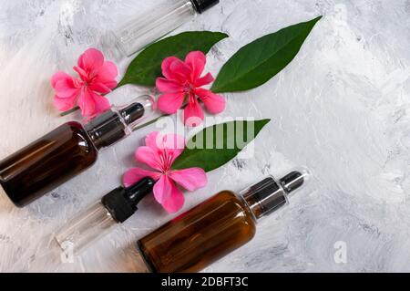 Flache Lay-Zusammensetzung mit kosmetischen Serum-Flaschen, Glastropfer. Beauty-Produkt.Kopieren Raum für Text. Stockfoto
