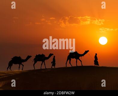 Rajasthan Reise Hintergrund - zwei indische Kamele (Kameltreiber) mit Kamelen Silhouetten in Dünen von Thar Wüste bei Sonnenuntergang. Jaisalmer, Rajasthan, In Stockfoto