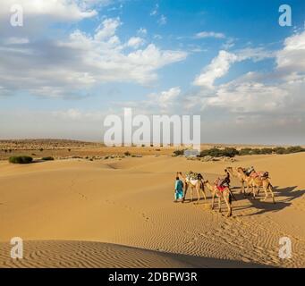 Rajasthan Reise Hintergrund - zwei indische Kamele (Kameltreiber) mit Kamelen in den Dünen der Thar Wüste. Jaisalmer, Rajasthan, Indien Stockfoto