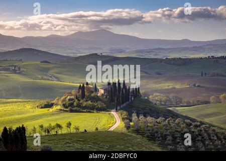 Toskanische Landschaft in der Nähe von San Quirico d'Orcia bei nebligen Sonnenaufgang am frühen Morgen in der Toskana, Italien, April. Stockfoto