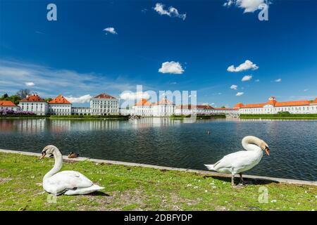 Schwäne im Garten vor dem Schloss Nymphenburg. München, Bayern, Deutschland Stockfoto