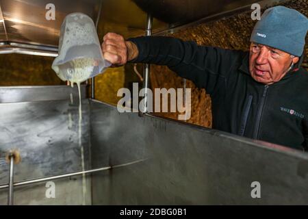 Der hauseigene Brauer füllt zunächst flüssige Hefe in den Tank, so dass er sich gut mit dem Zoigl-Bier-Wort-Lager im Steinkeller in Falkenberg vermischt Stockfoto