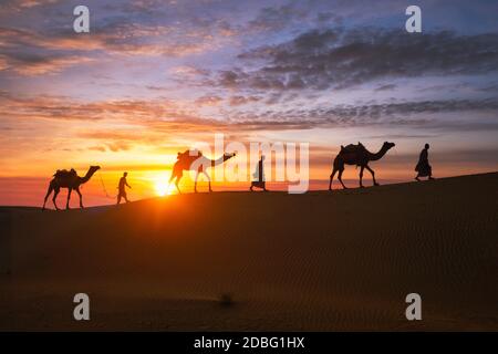 Indische Kamele (Kameltreiber) beduinen mit Kamelsilhouetten in Sanddünen der Thar-Wüste bei Sonnenuntergang. Caravan in Rajasthan Reise Tourismus Hintergrund Stockfoto