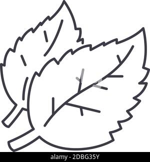 Cofee Bean Pflanzen Symbol, lineare isolierte Illustration, dünne Linie Vektor, Web-Design-Zeichen, Kontur Konzept Symbol mit editierbaren Strich auf weiß Stock Vektor