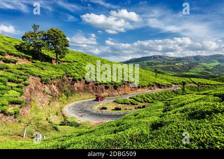 Kerala Indien Reise Hintergrund - Auto auf Straße in Grüntee-Plantagen in Munnar, Kerala, Indien Stockfoto