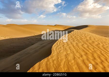 SAM Sanddünen in der Thar-Wüste. Rajasthan, Indien Stockfoto