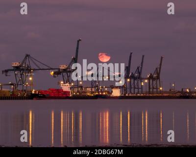 Container Schiffe, die nachts unter einem großen Mond am Hafen von Felixstowe be- und entladen werden. Stockfoto