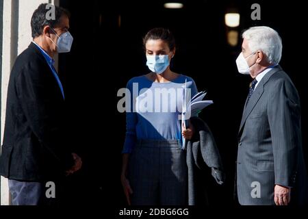 Madrid, Spanien. November 2020. **KEIN SPANIEN** Königin Letizia von Spanien nimmt am 17. November 2020 am UNICEF-Treffen im CSIC in Madrid Teil. Quelle: Jimmy Olsen/Media Punch/Alamy Live News Stockfoto