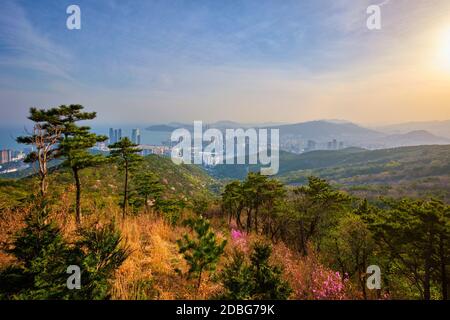 Busan Stadtbild mit Wolkenkratzern und Gwangan Brücke auf Sonnenuntergang von Jangsan Peak. Busan, Südkorea Stockfoto