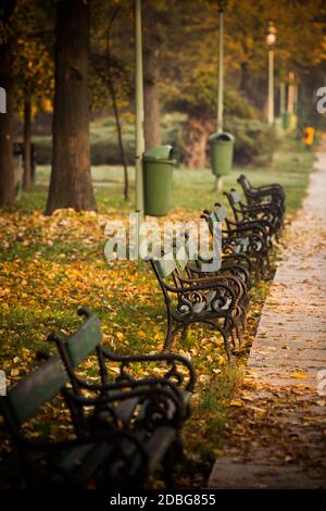 Reihe von Holzbänken in einem Park, mit Herbstblättern auf dem Boden. Stockfoto