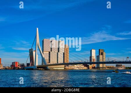 Rotterdam Stadtbild mit Erasmus Brücke über Fluss Nieuwe Maas auf den Sonnenuntergang. Niederlande Stockfoto