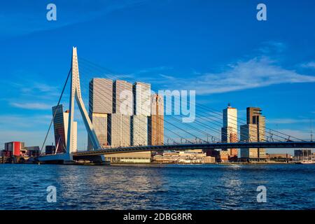 Rotterdam Stadtbild mit Erasmus Brücke über Fluss Nieuwe Maas auf den Sonnenuntergang. Niederlande Stockfoto