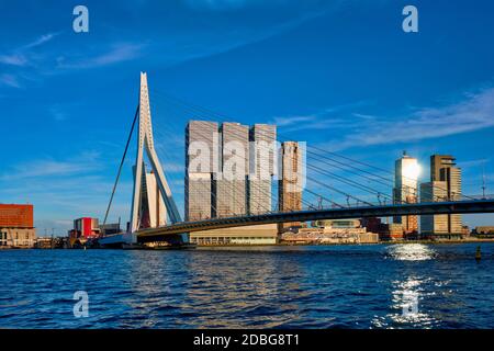 Rotterdam Stadtbild mit Erasmus Brücke über Fluss Nieuwe Maas auf den Sonnenuntergang. Niederlande Stockfoto