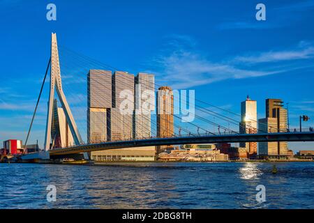 Rotterdam Stadtbild mit Erasmus Brücke über Fluss Nieuwe Maas auf den Sonnenuntergang. Niederlande Stockfoto