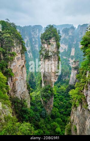 Berühmte Touristenattraktion von China - Avatar Hallelujah Berg in Zhangjiajie Steinsäulen Klippe Berge bei Wulingyuan, Hunan, China Stockfoto