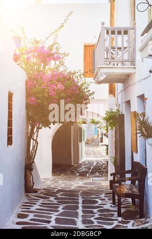 Malerische schmale Straße mit traditionellen weiß getünchten Häusern mit blühenden Bougainvillea Blumen von Naousa Stadt in berühmten Touristenattraktion Paros ist Stockfoto