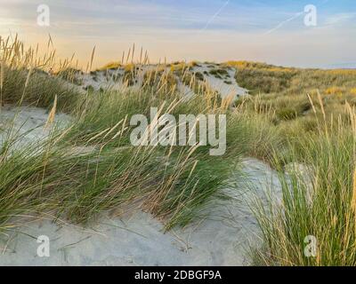 Sanddünen bieten Schutz für Picknicks und eine wunderbare Landschaft für die langen Sommerspaziergänge. Stockfoto