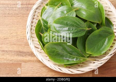 Persimmon Blätter, Kräutermedizin in einem Bambuskorb Stockfoto