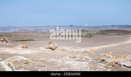 Blick auf die felsige Düne der Ile d'Yeu neben dem Meer mit ihrem kleinen Strandhaus, Frankreich Stockfoto