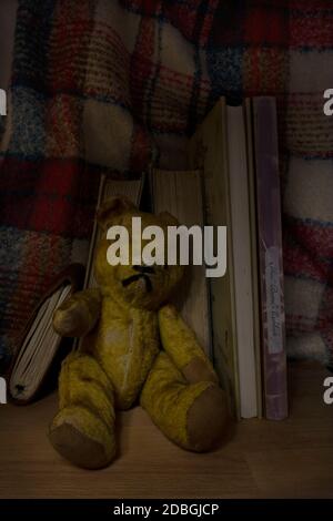 Teddybär und Bücher Stockfoto