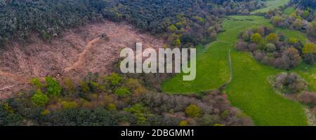 Frühling, Tarrueza, Laredo, Montaña orientalische Costera, Kantabrien, Spanien, Europa Stockfoto