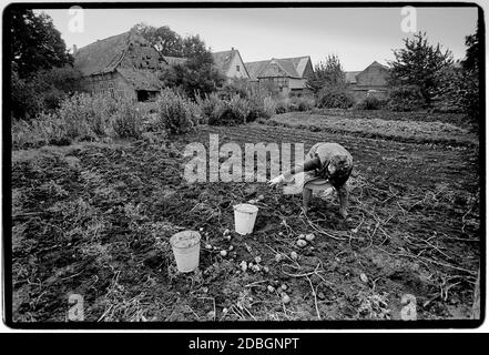Ostdeutschland 1990 scannte 2020 die Überreste der Mauer bei Hanum an der Grenze zwischen Ost- und Westdeutschland. Hanum ist ein Dorf und eine ehemalige Gemeinde im Landkreis Altmarkkreis Salzwedel, in Sachsen-Anhalt, Deutschland. Seit dem 1. Januar 2010 ist es ein Teil der Gemeinde Jübar Ostdeutschland, Deutsche Demokratische Republik DDR nach dem Mauerfall, aber vor der Wiedervereinigung März 1990 und gescannt im Jahr 2020.Ostdeutschland, offiziell die Deutsche Demokratische Republik, war ein Land, das von 1949 bis 1990 existierte, Die Zeit, als der östliche Teil Deutschlands Teil von t war Stockfoto