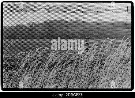 Ostdeutschland 1990 scannte 2020 die Überreste der Mauer bei Hanum an der Grenze zwischen Ost- und Westdeutschland. Hanum ist ein Dorf und eine ehemalige Gemeinde im Landkreis Altmarkkreis Salzwedel, in Sachsen-Anhalt, Deutschland. Seit dem 1. Januar 2010 ist es ein Teil der Gemeinde Jübar Ostdeutschland, Deutsche Demokratische Republik DDR nach dem Mauerfall, aber vor der Wiedervereinigung März 1990 und gescannt im Jahr 2020.Ostdeutschland, offiziell die Deutsche Demokratische Republik, war ein Land, das von 1949 bis 1990 existierte, Die Zeit, als der östliche Teil Deutschlands Teil von t war Stockfoto