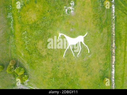 Hackpen White Horse Kreidehügel Figur eines weißen Pferdes auf Hackpen Hill, unterhalb des Ridgeway am Rande der Marlborough Downs gelegen, Stockfoto