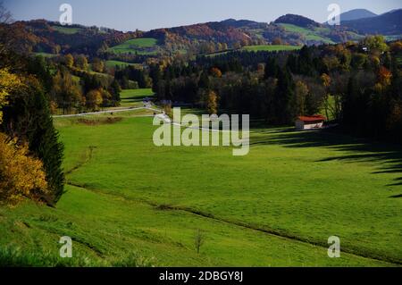 Grüne Wiese am herbstlichen Waldrand in warmem Licht Stockfoto