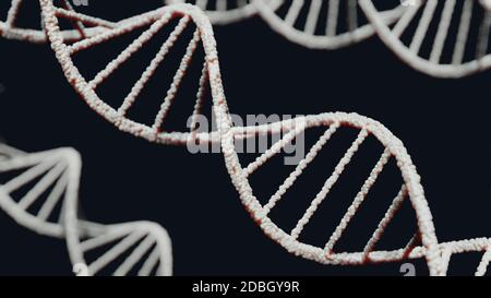 DNA-Moleküle auf schwarzem Hintergrund 3d-Rendering Stockfoto