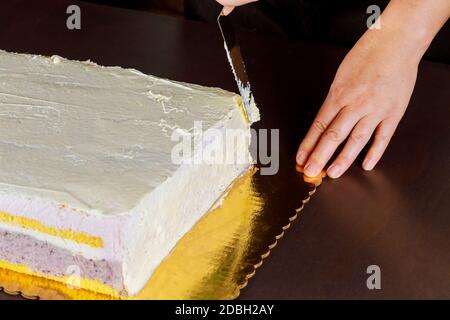 Koch Abdeckung mit weißen Sahnehäubchen festliche Kuchen. Machen Schicht Biskuitkuchen. Stockfoto