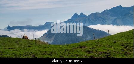 Saletta, Paccots, Chapelle Saint Denis, Schweizer Stockfoto