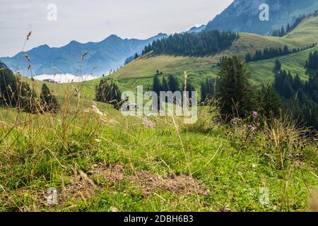 Saletta, Paccots, Chapelle Saint Denis, Schweizer Stockfoto