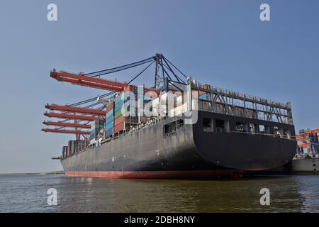 Große Hafenkrane laden Containerschiffe im Hafen Rotterdam Stockfoto