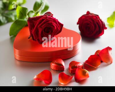 Rote Rosen und Box mit roten Herzen auf einem weißen Hintergrund. Valentinstag-Konzept Stockfoto