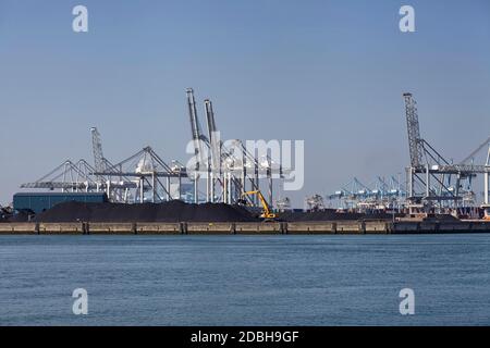 Logistikgeschäft. Riesige Kräne und Container, sonniger Sommertag, Internationaler Hafen von Rotterdam Niederlande Stockfoto