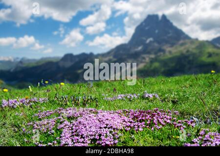 Der Pic du Midi Ossau in den französischen Pyrenäen Stockfoto