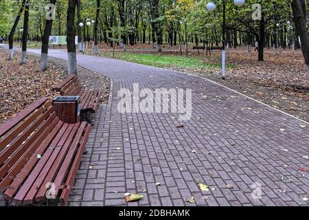 Bank im Herbstpark. Parkbank umgeben von gefallenen Blättern im Stadtpark. Stockfoto