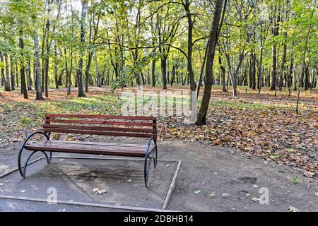 Bank im Herbstpark. Parkbank umgeben von gefallenen Blättern im Stadtpark. Stockfoto