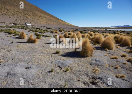 Farallon de Tara, Plateau mit Blick auf Salt Lake mit 4 WD im Hintergrund Stockfoto