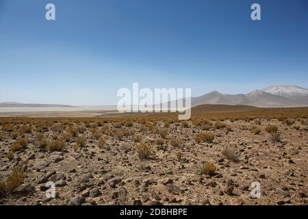 Farallon de Tara, der Hochebene mit Blick auf den Salzsee Salar de Tara Naturpark, San Pedro de Atacama, Chile Stockfoto