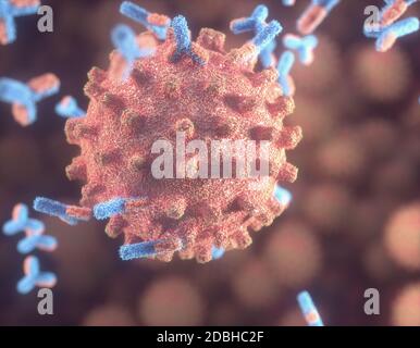 Immunologisches System, Antikörper, die das Virus Covid-19 angreifen. 3D-Darstellung, Konzept des Abwehrsystems des Körpers. Y-förmiger Antikörper, der den angreift Stockfoto