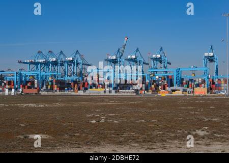 Maasvlakte 2, Rotterdam. Luftaufnahme des Containerterminals im Hafen MAASVLAKTE, Niederlande. Ein großes Containerschiff ist entladen Stockfoto