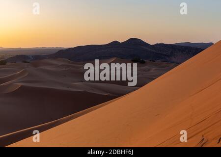 Die globale Erwärmung Konzept. Einsame Dünen unter dramatischen Sonnenuntergang am Abend Himmel bei Dürre Wüstenlandschaft. Afrika Stockfoto