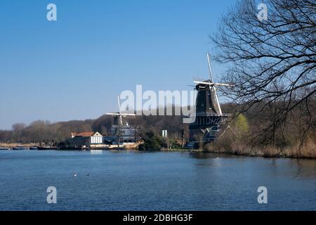 Windmühlen am Ufer des kralingse Plas in rotterdam, Niederlande Stockfoto