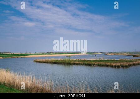 'Pancake Country': Typische flache holländische Landschaft aus grünen Wiesen, Gräben, blauem Himmel mit weißen Wolken, die sich im Wasser spiegeln Stockfoto