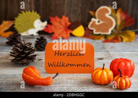 Orange Label Mit Deutschem Text Herzlich Willkommen Heißt Willkommen. Herbstdekoration Wie Kürbis, Igel Und Eichhörnchen Stockfoto