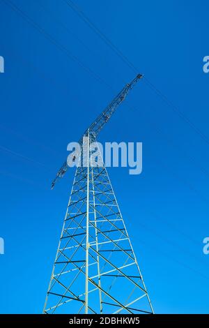 Stromstange auf einem Feld unter einem wolkenlosen blauen Himmel Stockfoto